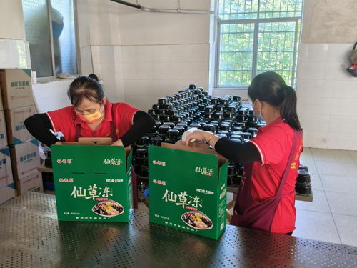 年順食品廠 守護贛南餐桌安全，共筑健康生活新未來